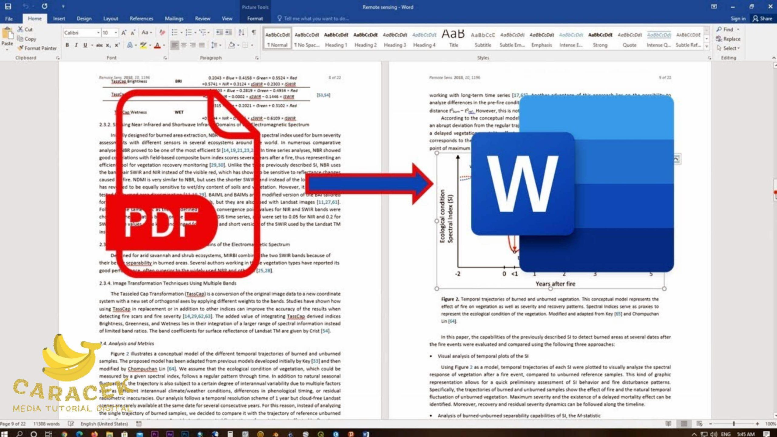 7 Rahasia Perubahan PDF ke MS Word yang Bikin Dokumen F4 Jadi Lebih Rapi Sebelum Terlambat