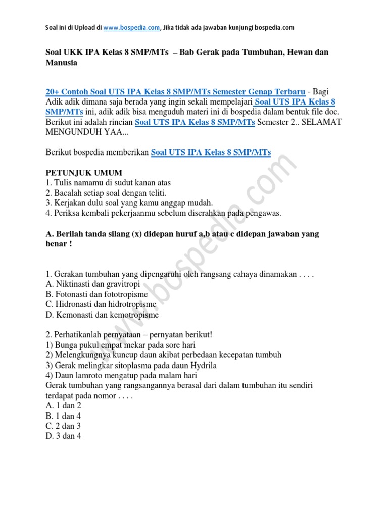 7 Tips Wajib Tingkatkan UTS IPA Kelas 8 lewat contoh soal ipa kelas 8 semester 2 uts essay
