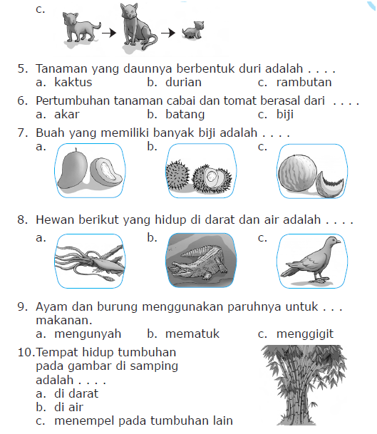 7 Rahasia Contoh Soal IPA Mid SD Kelas 2 Tahun 2017 yang Bikin Anak Pintar di Era 2026