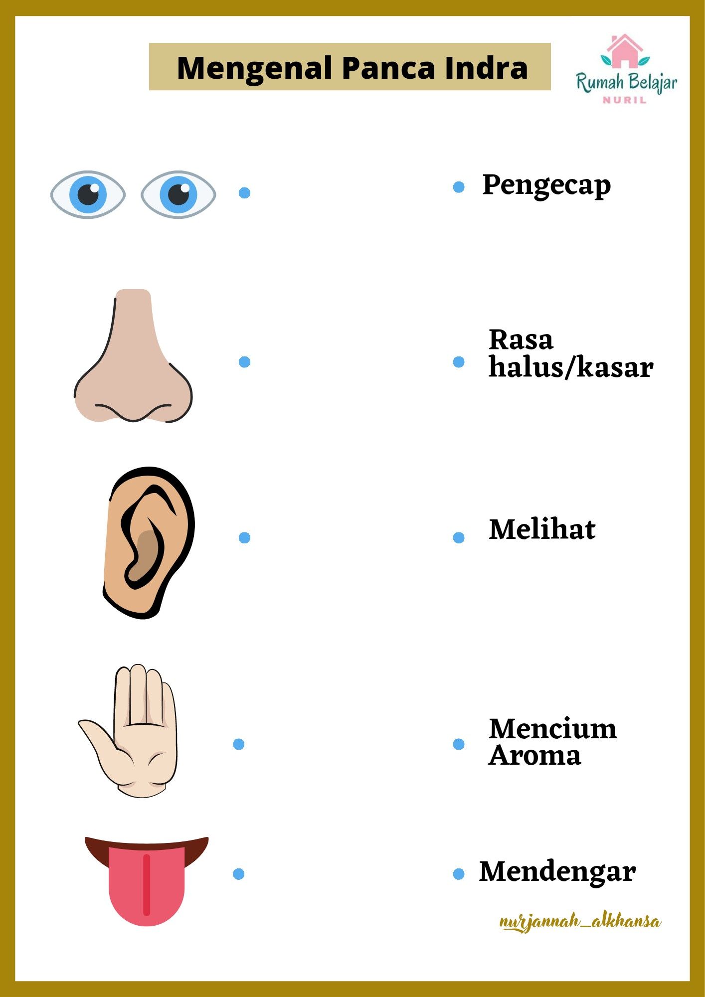 Wajib Tahu Kumpulan Contoh Soal Kelas 1 Subtema 2 Panca Indra Agar Anak Cepat Pintar